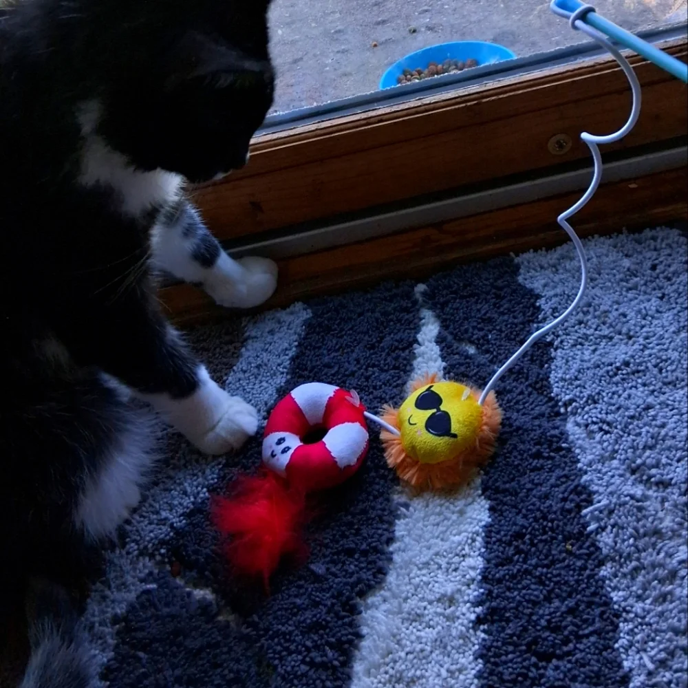 Sun And Feather Fishing pole cat Toy